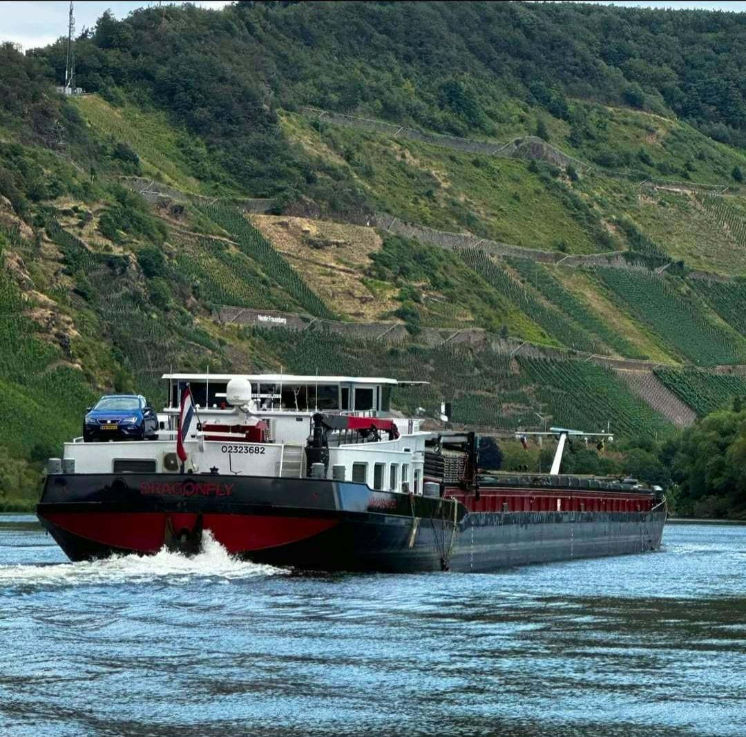 Dragon Fly — thumbnail 3